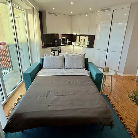 Elegant 1br Free Parking Near Metro And Dom Luis I