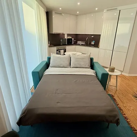Elegant 1br Free Parking Near Metro And Dom Luis I Вила-Нова-ди-Гая