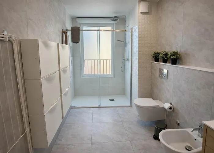 Coevo Fracao O Apartment